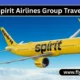 Spirit Airlines Group Travel 80x80