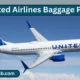 United Airlines Baggage Policy  80x80